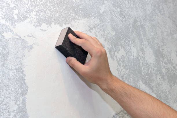  Princeton, KY Mold Removal Pros