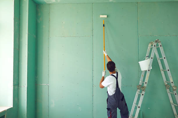 Best Mold Damage Restoration  in Princeton, KY