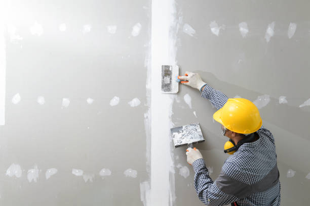 Best Emergency Mold Remediation  in Princeton, KY