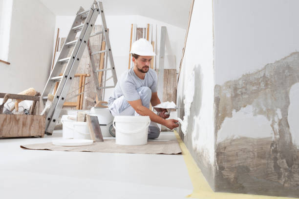Best Mold Removal for HVAC Installations  in Princeton, KY