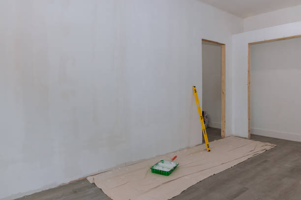 Best Post-Construction Mold Inspection  in Princeton, KY