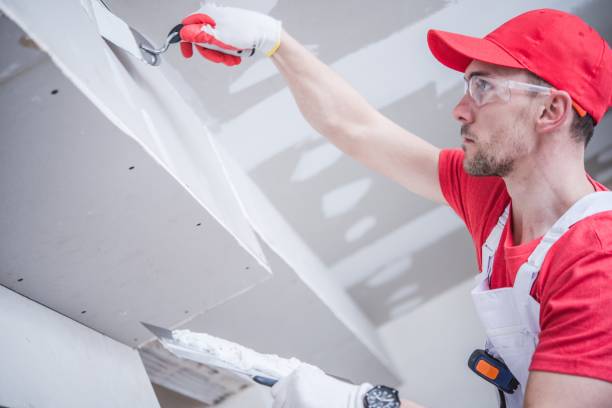 Mold Remediation for Rental Properties in Princeton, KY