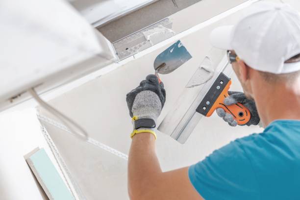 Biohazard Mold Removal in Princeton, KY